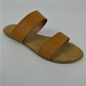 BAMBOO   TAMBER-01